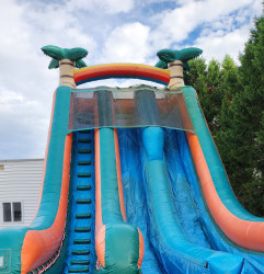 22' Dual Palm Tree Slide